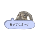 むぎぐらし 吹き出しにむぎ（個別スタンプ：6）