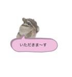 むぎぐらし 吹き出しにむぎ（個別スタンプ：8）
