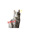 小梅さん一言（個別スタンプ：4）