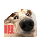 ぽっさん。（個別スタンプ：7）