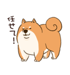 太めな柴犬（個別スタンプ：22）