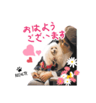 レコルトちゃん第1弾（個別スタンプ：1）