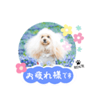 レコルトちゃん第1弾（個別スタンプ：4）