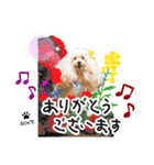 レコルトちゃん第1弾（個別スタンプ：5）