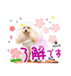 レコルトちゃん第1弾（個別スタンプ：6）