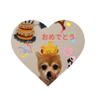mix犬pig（個別スタンプ：3）