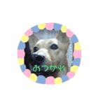 VANちゃん（個別スタンプ：3）