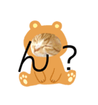 茶猫のスタンプ2（個別スタンプ：1）