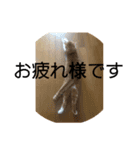 茶猫のスタンプ2（個別スタンプ：5）