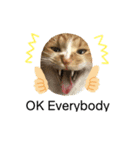 茶猫のスタンプ2（個別スタンプ：6）