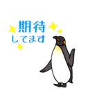 王様ペンギン2（個別スタンプ：12）