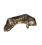 我が家の猫ちゃんズ（個別スタンプ：6）