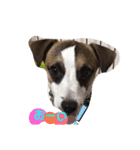 愛犬ワン（個別スタンプ：8）