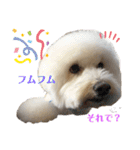 モフモフたろう（個別スタンプ：13）