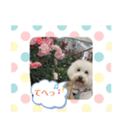 モフモフたろう（個別スタンプ：15）