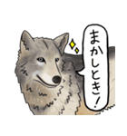神戸どうぶつ王国 公式スタンプ（個別スタンプ：12）
