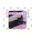 ベビニャンズ☆*°（個別スタンプ：10）