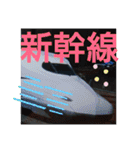 たけしのスタンプその   6（個別スタンプ：19）