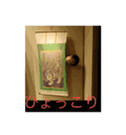 ヤハピーと愉快な仲間たち（個別スタンプ：16）