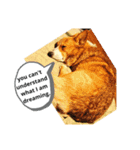 doggo stamp 2（個別スタンプ：1）