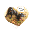 doggo stamp 2（個別スタンプ：2）