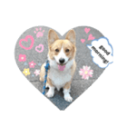 doggo stamp 2（個別スタンプ：7）