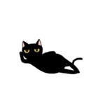 がんばる黒猫スタンプ1（個別スタンプ：6）