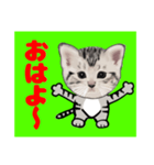 顔だけリアル、よん（個別スタンプ：3）