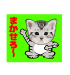 顔だけリアル、よん（個別スタンプ：6）