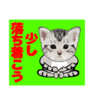 顔だけリアル、よん（個別スタンプ：7）
