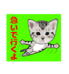 顔だけリアル、よん（個別スタンプ：8）