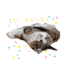 桃タローのつぶやき ver.2（個別スタンプ：6）