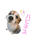 まいろ時々くるちゃん3（個別スタンプ：5）