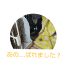 ロペ＆チロほのぼのスタンプ[sumikke11 GG]（個別スタンプ：3）