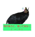 ロペ＆チロほのぼのスタンプ[sumikke11 GG]（個別スタンプ：4）