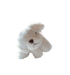 犬のしらこちゃん（個別スタンプ：7）