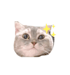 J asmin（個別スタンプ：5）
