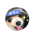 ポメライムくんの日常その2（個別スタンプ：3）