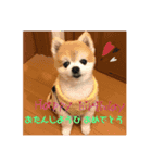 ポメライムくんの日常その2（個別スタンプ：8）