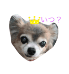 A®️igatou（個別スタンプ：5）