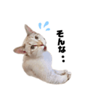 Lily先輩2（個別スタンプ：1）