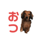 いっくんはぁくんフーガくん（個別スタンプ：4）