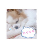 チョコくんのシュールスタンプ（個別スタンプ：2）