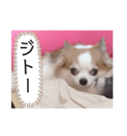 チョコくんのシュールスタンプ（個別スタンプ：5）
