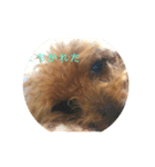 mocoの1日（個別スタンプ：1）