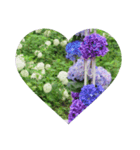 Flower_20190720223909（個別スタンプ：1）