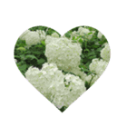 Flower_20190720223909（個別スタンプ：2）