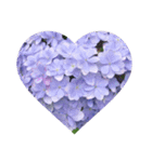 Flower_20190720223909（個別スタンプ：4）