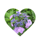 Flower_20190720223909（個別スタンプ：5）