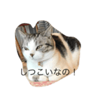みいこスタンプ2♡（個別スタンプ：2）